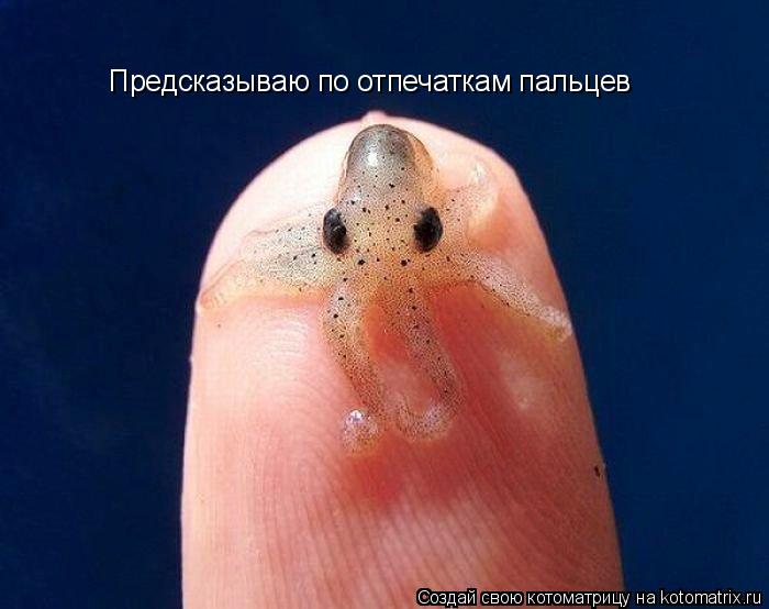 Предсказываю по отпечаткам пальцев... Котоматрица: Предсказываю по отпечаткам пальцев