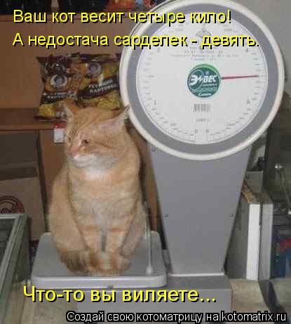 Ваш кот весит четыре кило! А недостача сарделек - девять. Что-то вы виляете...... Котоматрица: Ваш кот весит четыре кило! А недостача сарделек - девять. Что-то вы виляете...