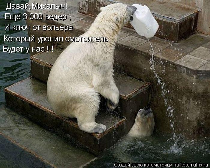 Давай,Михалыч! Ещё 3 000 ведер , И ключ от вольера Который уронил смотритель Будет у нас !!!... Котоматрица: Давай,Михалыч! Ещё 3 000 ведер , И ключ от вольера Который уронил смотритель Будет у нас !!!