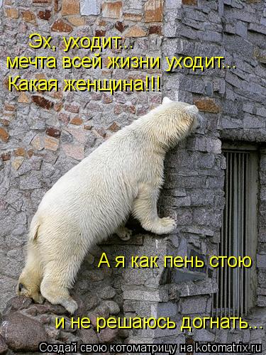Эх, уходит... мечта всей жизни уходит... Какая женщина!!! А я как пень стою и не решаюсь догнать...... Котоматрица: Эх, уходит... мечта всей жизни уходит... Какая женщина!!! А я как пень стою и не решаюсь догнать...