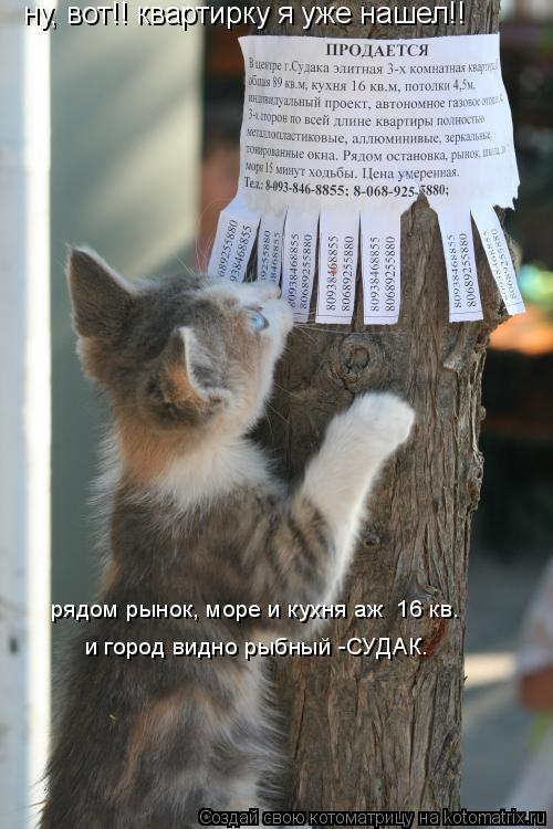 ну, вот!! квартирку я уже нашел!! рядом рынок, море и кухня аж 16 кв. и город видно рыбный -СУДАК.... Котоматрица: ну, вот!! квартирку я уже нашел!! рядом рынок, море и кухня аж 16 кв. и город видно рыбный -СУДАК.