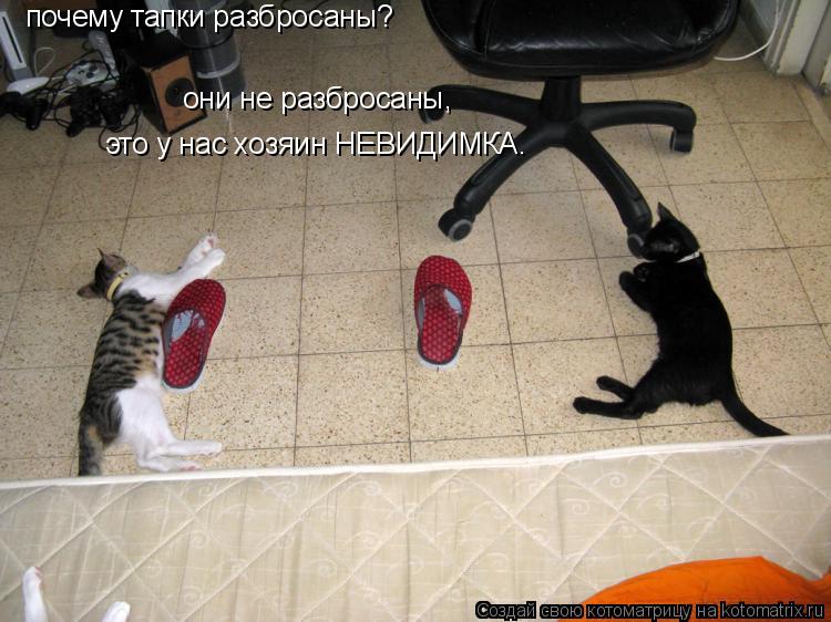 это у нас хозяин НЕВИДИМКА. почему тапки разбросаны? они не разбросаны,... Котоматрица: это у нас хозяин НЕВИДИМКА. почему тапки разбросаны? они не разбросаны,