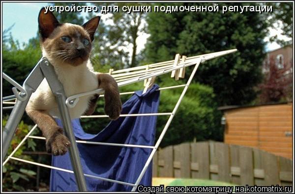 устройство для сушки подмоченной репутации... Котоматрица: устройство для сушки подмоченной репутации