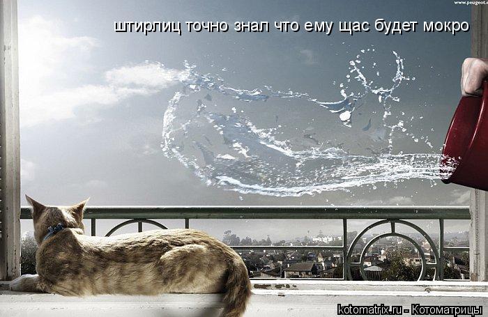 штирлиц точно знал что ему щас будет мокро... Котоматрица: штирлиц точно знал что ему щас будет мокро
