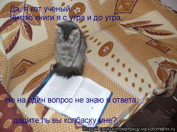 Да, я кот ученый. Читаю книги я с утра и до утра. дадите ль вы колбаску мне? Но на один вопрос не зна... Котоматрица: Да, я кот ученый. Читаю книги я с утра и до утра. дадите ль вы колбаску мне? Но на один вопрос не знаю я ответа: