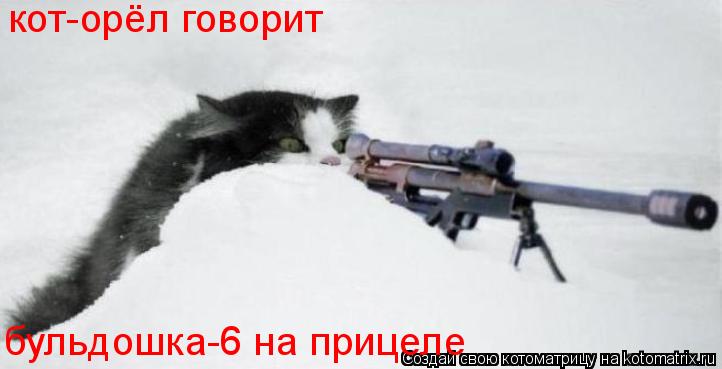 кот-орёл говорит бульдошка-6 на прицеле... Котоматрица: кот-орёл говорит бульдошка-6 на прицеле