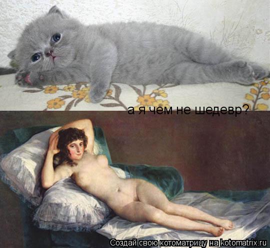 а я чем не шедевр?... Котоматрица: а я чем не шедевр?
