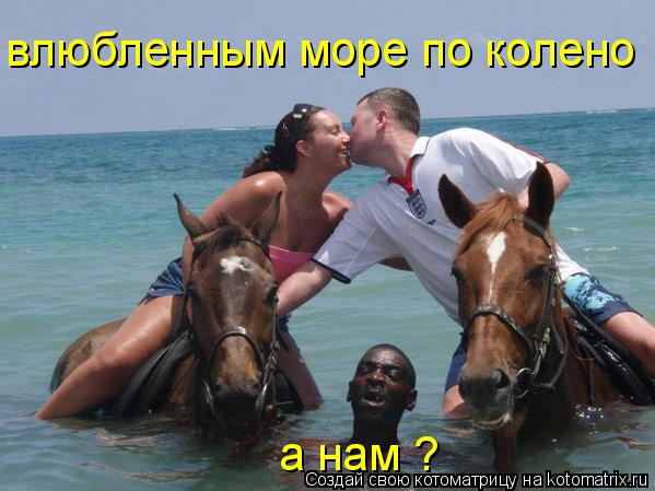 влюбленным море по колено а нам ?... Котоматрица: влюбленным море по колено а нам ?
