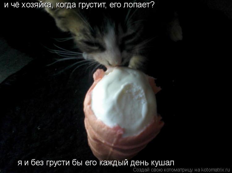 и чё хозяйка, когда грустит, его лопает? я и без грусти бы его каждый день кушал... Котоматрица: и чё хозяйка, когда грустит, его лопает? я и без грусти бы его каждый день кушал