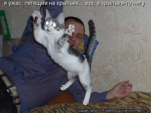 я ужас, летящий на крыльях... эээ, а крыльев-то нету... Котоматрица: я ужас, летящий на крыльях... эээ, а крыльев-то нету