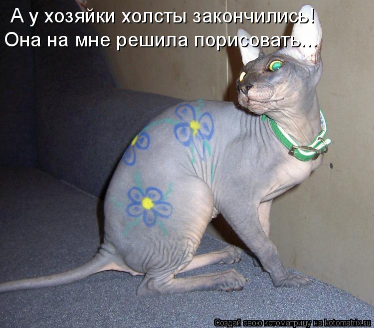 А у хозяйки холсты закончились! Она на мне решила порисовать...... Котоматрица: А у хозяйки холсты закончились! Она на мне решила порисовать...