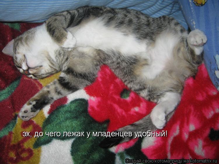 эх, до чего лежак у младенцев удобный!... Котоматрица: эх, до чего лежак у младенцев удобный!