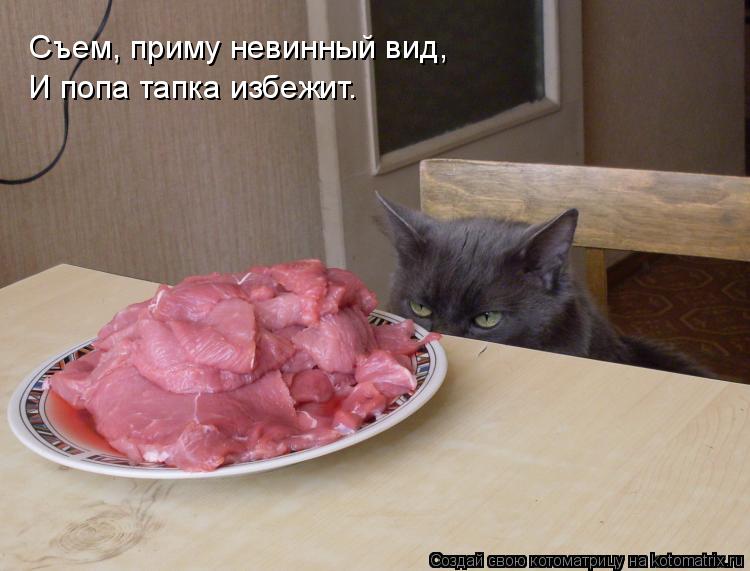 Съем, приму невинный вид, И попа тапка избежит.... Котоматрица: Съем, приму невинный вид, И попа тапка избежит.
