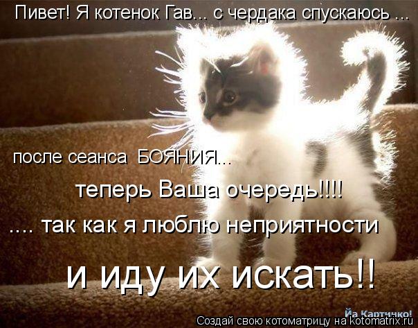 Пивет! Я котенок Гав... с чердака спускаюсь ... после сеанса БОЯНИЯ... теперь Ваша очередь!!!! ....... Котоматрица: Пивет! Я котенок Гав... с чердака спускаюсь ... после сеанса БОЯНИЯ... теперь Ваша очередь!!!! .... так как я люблю неприятности и иду их искать!