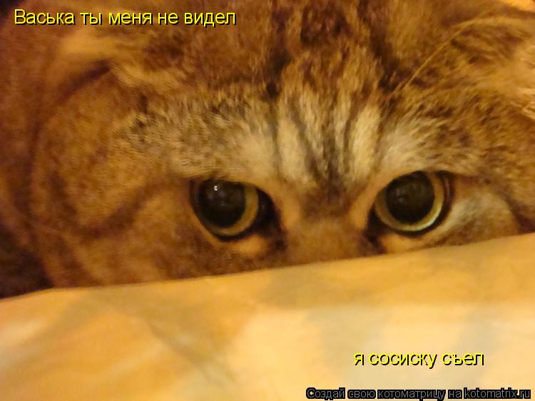 Васька ты меня не видел я сосиску съел... Котоматрица: Васька ты меня не видел я сосиску съел
