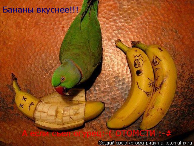 Бананы вкуснее!!! А если съел огурец:-( ОТОМСТИ :-#... Котоматрица: Бананы вкуснее!!! А если съел огурец:-( ОТОМСТИ :-#