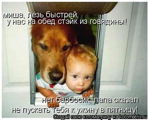 миша, лезь быстрей, у нас на обед стэйк из говядины! нет барбосик, папа сказал не пускать тебя к ужи... Котоматрица: миша, лезь быстрей, у нас на обед стэйк из говядины! нет барбосик, папа сказал не пускать тебя к ужину в пятницу!