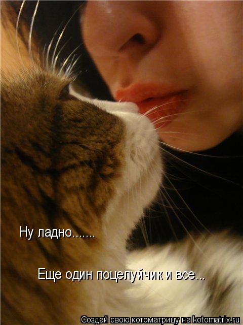 Ну ладно....... Еще один поцелуйчик и все...... Котоматрица: Ну ладно....... Еще один поцелуйчик и все...