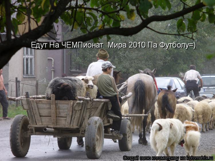 Едут На ЧЕМПионат Мира 2010 Па Футболу=)... Котоматрица: Едут На ЧЕМПионат Мира 2010 Па Футболу=)