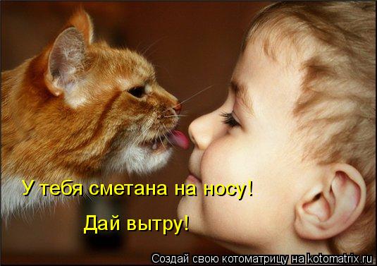 У тебя сметана на носу! Дай вытру!... Котоматрица: У тебя сметана на носу! Дай вытру!