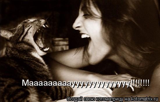 Мааааааааауууууууууууууу!!!!!!!!... Котоматрица: Мааааааааауууууууууууууу!!!!!!!!