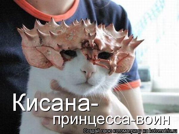 Кисана- принцесса-воин... Котоматрица: Кисана- принцесса-воин