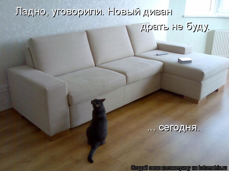 Ладно, уговорили. Новый диван драть не буду. ... сегодня.... Котоматрица: Ладно, уговорили. Новый диван драть не буду. ... сегодня.