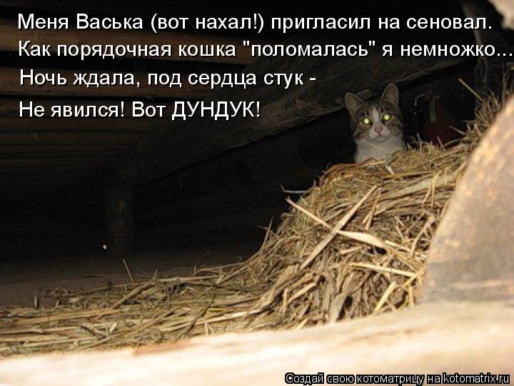 Меня Васька (вот нахал!) пригласил на сеновал. Как порядочная кошка "поломалась" я немножко... Ночь ж... Котоматрица: Меня Васька (вот нахал!) пригласил на сеновал. Как порядочная кошка "поломалась" я немножко... Ночь ждала, под сердца стук - Не явился! Вот ДУНД