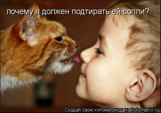 почему я должен подтирать ей сопли?... Котоматрица: почему я должен подтирать ей сопли?