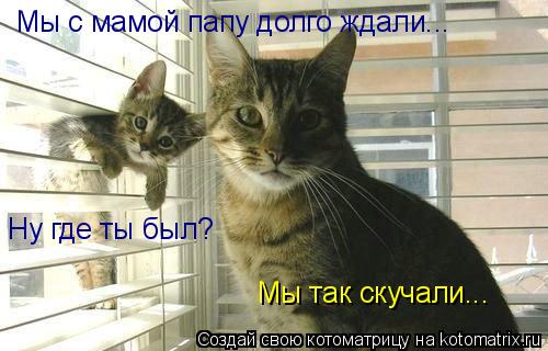 Мы с мамой папу долго ждали... Ну где ты был? Мы так скучали...... Котоматрица: Мы с мамой папу долго ждали... Ну где ты был? Мы так скучали...