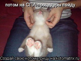 потом на СПА-процедуры пойду... Котоматрица: потом на СПА-процедуры пойду