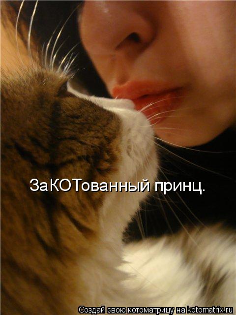 ЗаКОТованный принц.... Котоматрица: ЗаКОТованный принц.