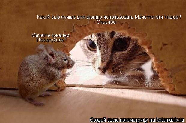 Какой сыр лучше для фондю использовать Мачетте или Чедер? Мачетте конечно Спасибо Пожалуйста... Котоматрица: Какой сыр лучше для фондю использовать Мачетте или Чедер? Мачетте конечно Спасибо Пожалуйста