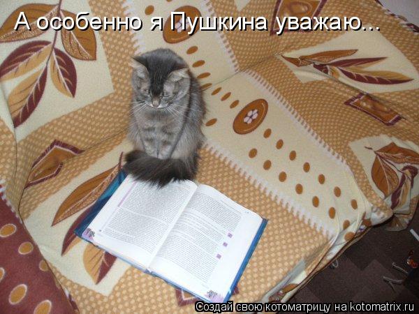 А особенно я Пушкина уважаю...... Котоматрица: А особенно я Пушкина уважаю...
