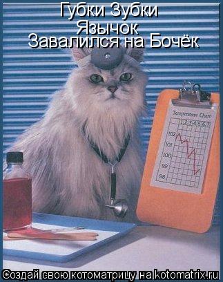 Губки Зубки Язычок Завалился на Бочёк... Котоматрица: Губки Зубки Язычок Завалился на Бочёк