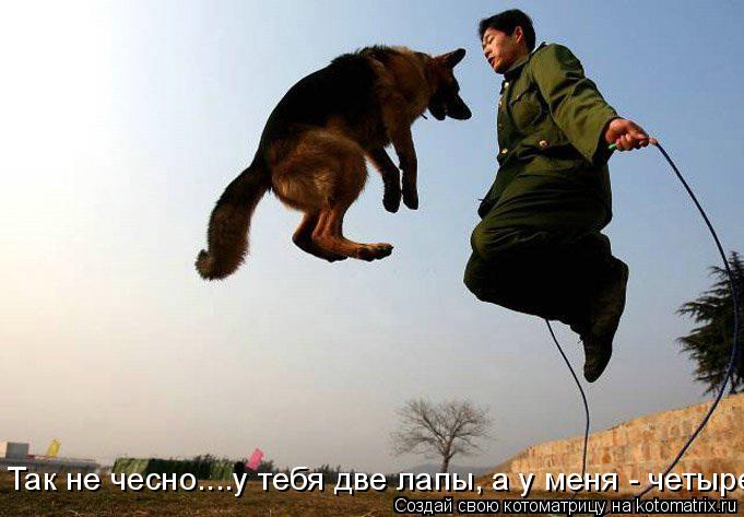 Так не чесно....у тебя две лапы, а у меня - четыре... Котоматрица: Так не чесно....у тебя две лапы, а у меня - четыре