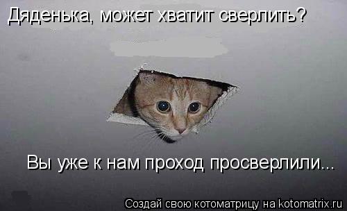 Дяденька, может хватит сверлить? Вы уже к нам проход просверлили...... Котоматрица: Дяденька, может хватит сверлить? Вы уже к нам проход просверлили...