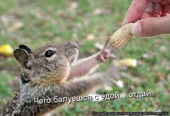 Чего балуешся с едой....отдай..... Котоматрица: Чего балуешся с едой....отдай..