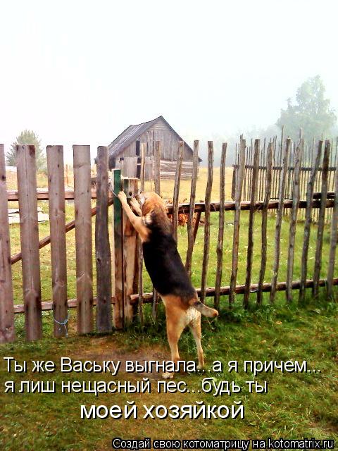 Ты же Ваську выгнала...а я причем... я лиш нещасный пес...будь ты моей хозяйкой... Котоматрица: Ты же Ваську выгнала...а я причем... я лиш нещасный пес...будь ты моей хозяйкой