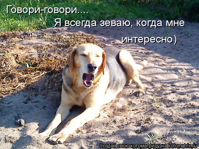 Говори-говори.... Я всегда зеваю, когда мне интересно)... Котоматрица: Говори-говори.... Я всегда зеваю, когда мне интересно)