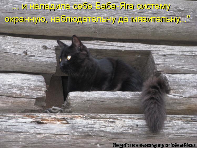 ... и наладила себе Баба-Яга систему охранную, наблюдательну да мявительну..."... Котоматрица: ... и наладила себе Баба-Яга систему охранную, наблюдательну да мявительну..."