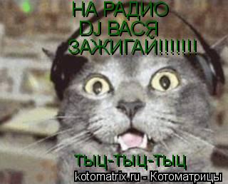 НА РАДИО DJ ВАСЯ ЗАЖИГАЙ!!!!!!! тыц-тыц-тыц... Котоматрица: НА РАДИО DJ ВАСЯ ЗАЖИГАЙ!!!!!!! тыц-тыц-тыц