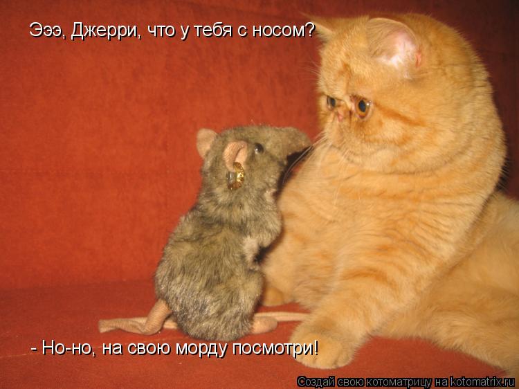 Эээ, Джерри, что у тебя с носом? - Но-но, на свою морду посмотри!... Котоматрица: Эээ, Джерри, что у тебя с носом? - Но-но, на свою морду посмотри!