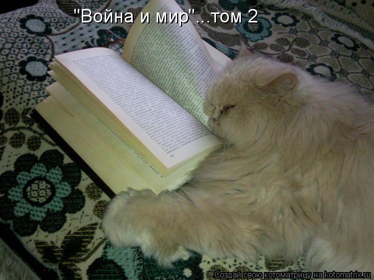 "Война и мир"...том 2... Котоматрица: "Война и мир"...том 2