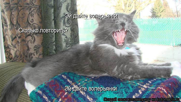 Эй дайте волерьянки Эй дайте волерьянки Сколько повторить?... Котоматрица: Эй дайте волерьянки Эй дайте волерьянки Сколько повторить?