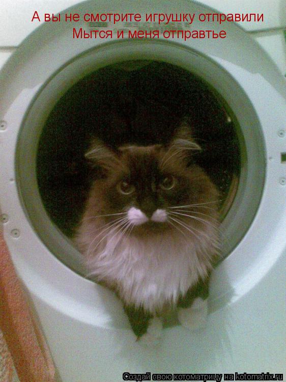 А вы не смотрите игрушку отправили Мытся и меня отправтье... Котоматрица: А вы не смотрите игрушку отправили Мытся и меня отправтье