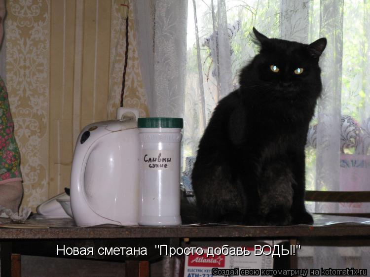 Новая сметана "Просто добавь ВОДЫ!"... Котоматрица: Новая сметана "Просто добавь ВОДЫ!"