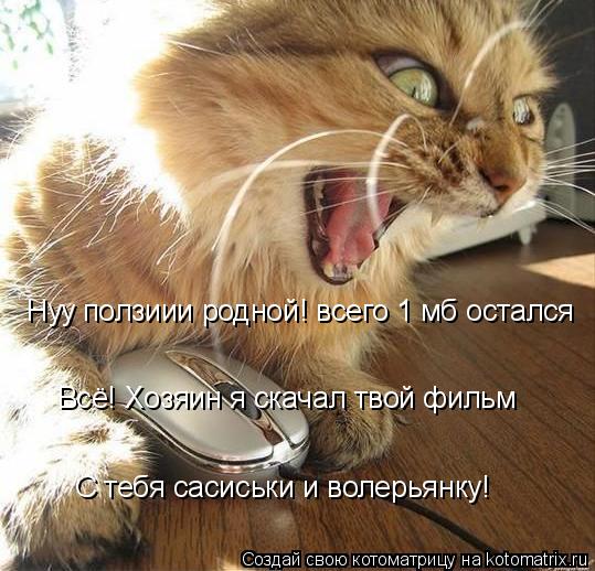 Нуу ползиии родной! всего 1 мб остался Всё! Хозяин я скачал твой фильм С тебя сасиськи и волерьянку!... Котоматрица: Нуу ползиии родной! всего 1 мб остался Всё! Хозяин я скачал твой фильм С тебя сасиськи и волерьянку!
