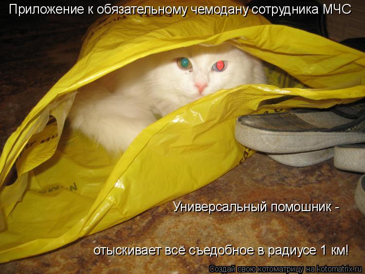 Приложение к обязательному чемодану сотрудника МЧС Универсальный помошник - отыскивает всё съедобное... Котоматрица: Приложение к обязательному чемодану сотрудника МЧС Универсальный помошник - отыскивает всё съедобное в радиусе 1 км!