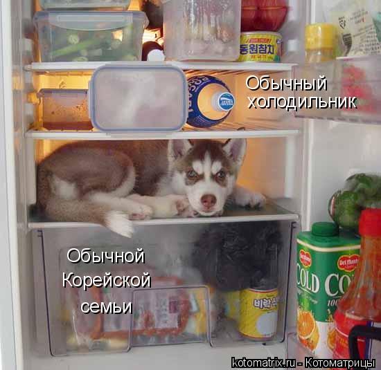 Обычный Обычной холодильник Корейской семьи... Котоматрица: Обычный Обычной холодильник Корейской семьи